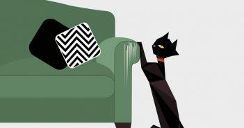 Katze kratzt an Sofa