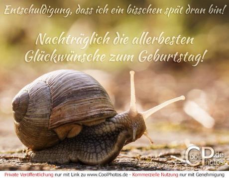 Spruch nachtragliche geburtstagswunsche