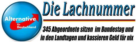 AfD; 345 Abgeordnete sitzen im Bundestag und in den Landtagen und kassieren Geld für nix