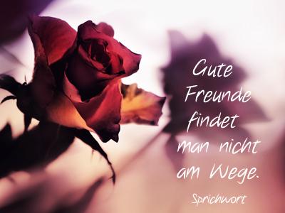 Valentinstag spruch fur beste freundin