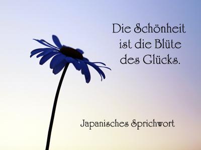 Geburtstagswunsche fur eine 40 jahrige