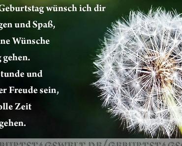 wallpaper-1689754