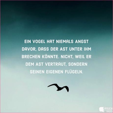 Kurze geburtstagsspruche 80