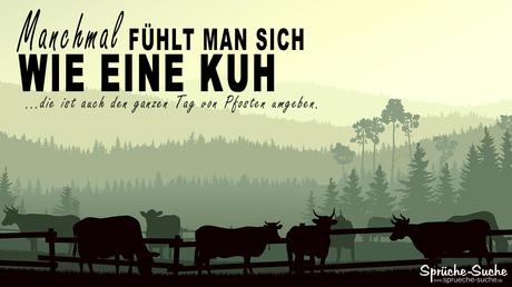 Lustige gluckwunsche zum geburtstag von kollegen