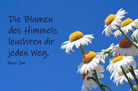 Schoner text zum 80 geburtstag