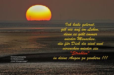 Ihnen allen wunsche ich