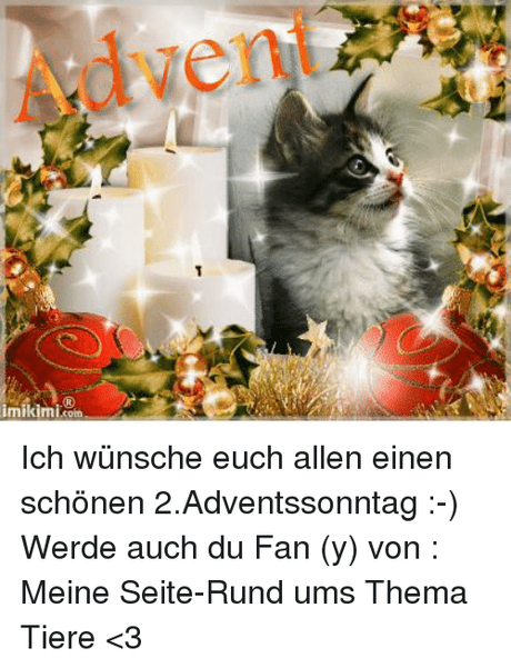 Ihnen allen wunsche ich