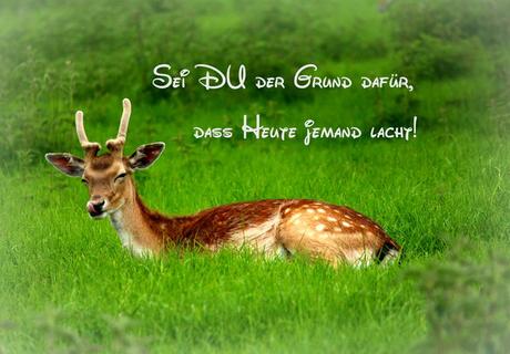 Ihnen allen wunsche ich