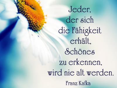 Geburtstagswunsche fur die schwester nachtraglich