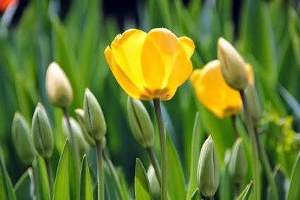 Ich wunsche dir ein schones langes wochenende