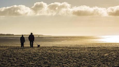 Ich wunsche einen schonen tag niederlandisch