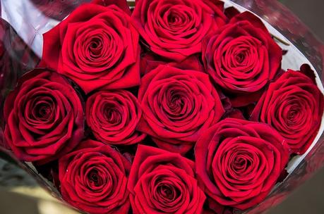 Valentinstag 2020 erfurt