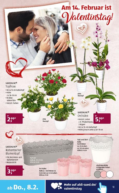 Aldi prospekt valentinstag