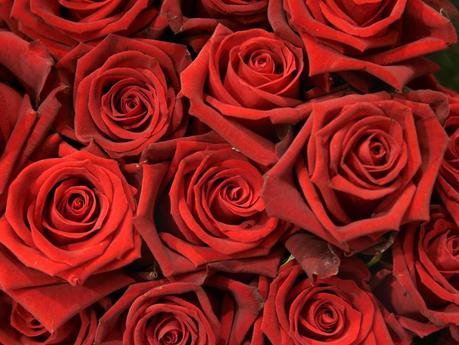 Valentinstag 2020 bonn