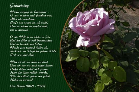 Lustige geburtstagswunsche blumen