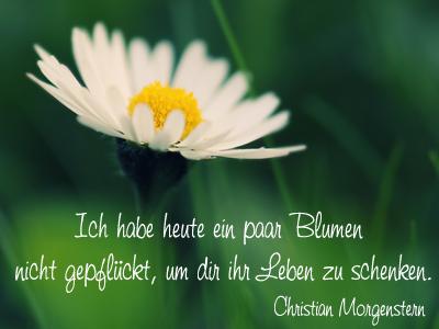 Lustige geburtstagswunsche blumen