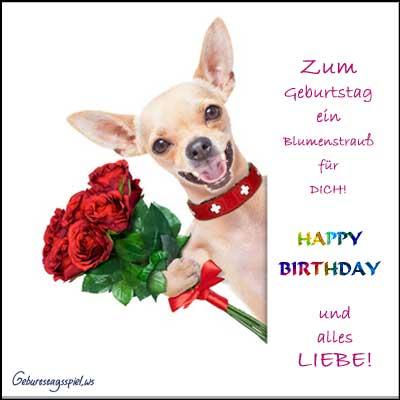 Lustige geburtstagswunsche blumen