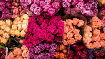 Valentinstag film sendetermine 2020