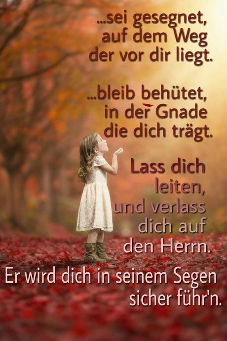 Geburtstagswunsche spruche und zitate