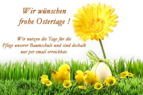Ich wunsche schone ostertage