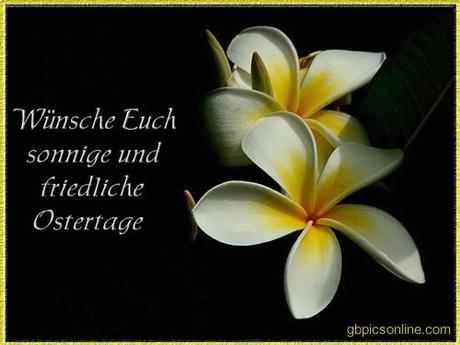 Ich wunsche schone ostertage