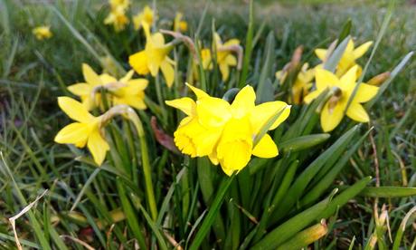 Ich wunsche schone ostertage