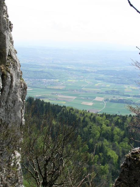 Wunsche zum abschied auswandern