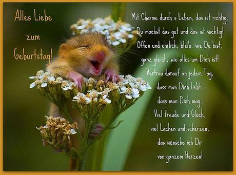 Geburtstagswunsche fur schwagerin