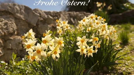 Wunsche meine christlichen freunde frohe ostern