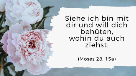 Wunsche meine christlichen freunde frohe ostern