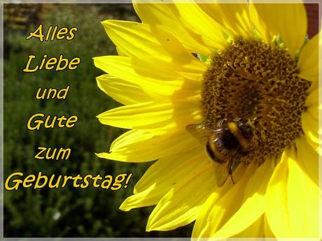 Geburtstagswunsche 91 geburtstag