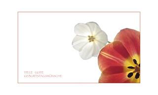 Ich wunsche dir einen wunderschonen geburtstag