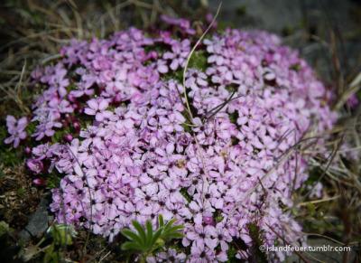 Ich wunsche dir einen wunderschonen geburtstag