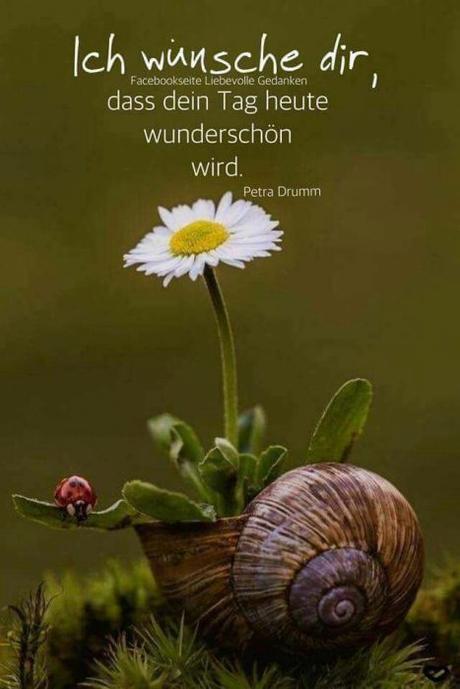 Ich wunsche dir einen wunderschonen geburtstag