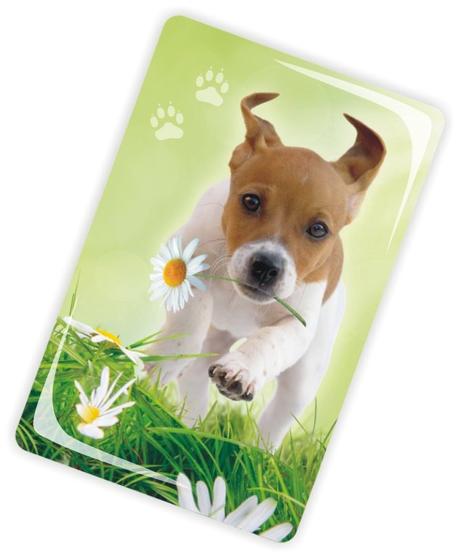 Geburtstagswunsche karte mama