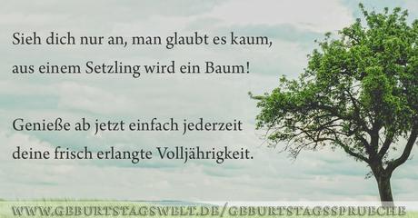 18 geburtstagswunsche texte