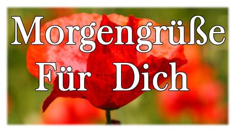 Guten morgen wunsche liebe