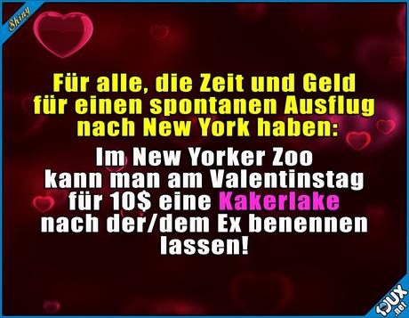 Valentinstag 2020 bilder lustig