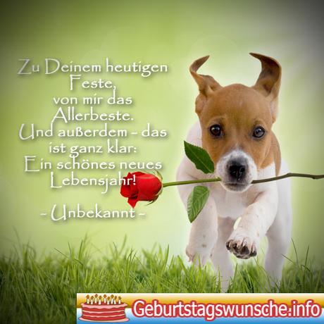 Geburtstag mutter schwiegermutter