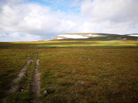 Der nördliche Kungsleden – von Jäkkvik bis Ammarnäs