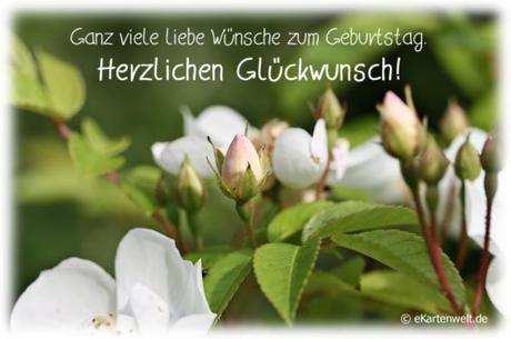 Gluckwunsche geburtstag liebe