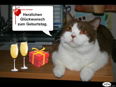 Geburtstagswunsche mit katze