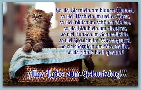 Geburtstagswunsche mit katze