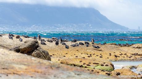Die schönsten Sehenswürdigkeiten rund um Kapstadt