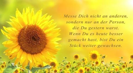 Geburtstagswunsche kollege