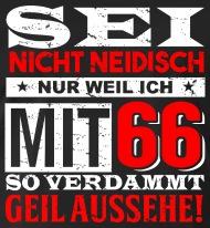 Geburtstagbpruch 66