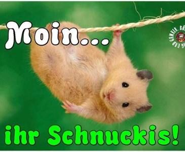 Ich wunsche euch beiden einen schonen tag