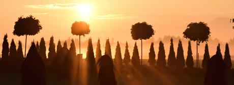 Valentinstag 2020 wellness