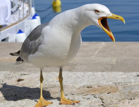 Wunsche ihnen eine schone zeit
