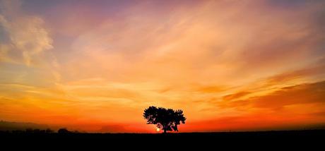 Wunsche ihnen eine schone zeit